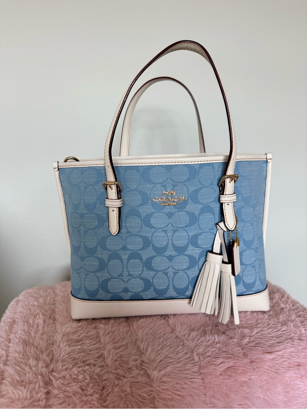 Coach Mollie Tote 25 in Denim